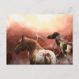 VILD HORSES DESERT STORM VYKORT