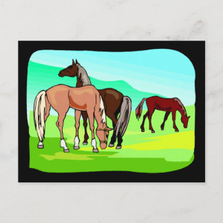 Vild Horses Eating Grass Fält Pasture Mountain Vykort