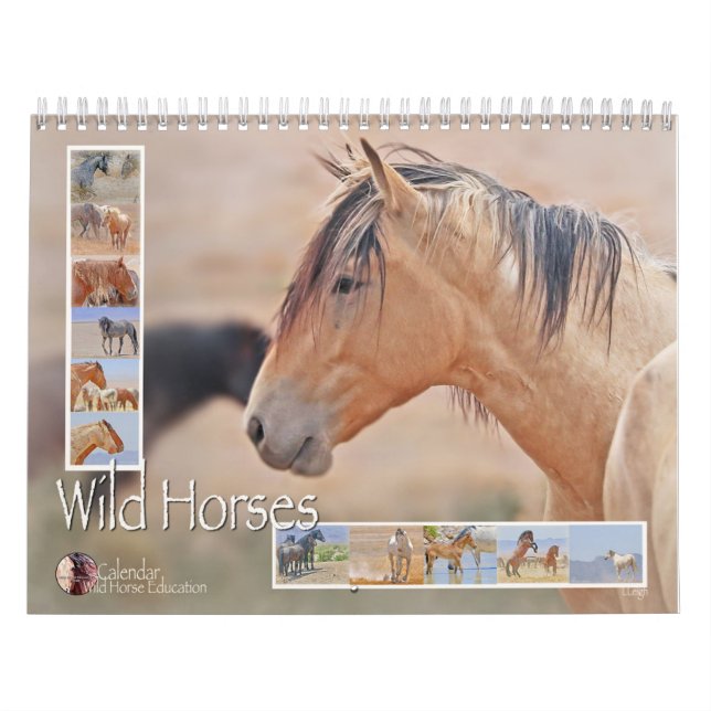 Vild Horses (en kalender) Kalender (Omslag)