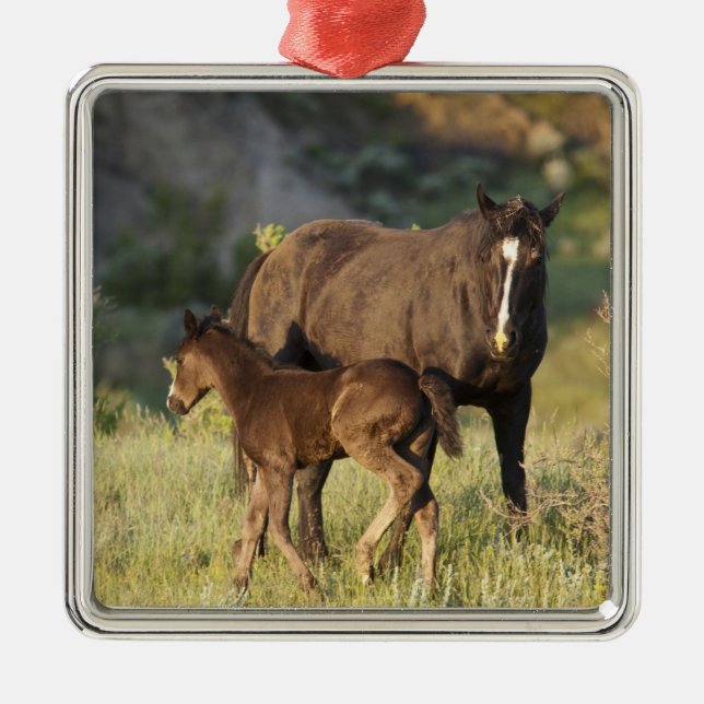 Vild Horses i nationalparken Theodore Roosevelt Julgransprydnad Metall (Framsidan)