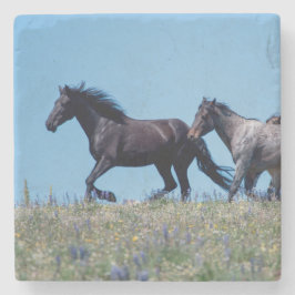 Vild Horses in Lupine Stenunderlägg