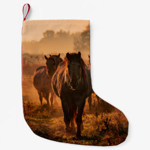 Vild Horses: Intense Gaze-möte Liten Julstrumpa