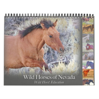 Vild Horses, kalender