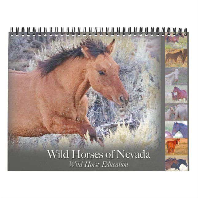 Vild Horses, kalender (Omslag)