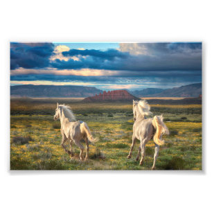 VILD HORSES "Levande till Springa" Fototryck