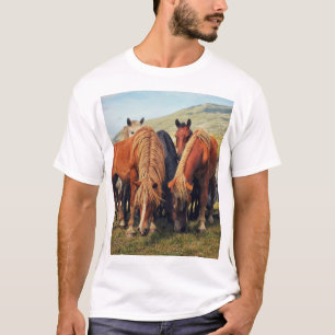 Vild Horses Livno Nature Scene T Shirt