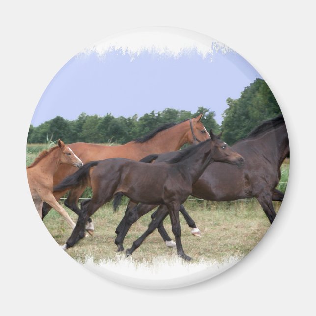 Vild Horses Magnet (Framsidan)