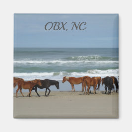 Vild Horses OBX NC Magnet