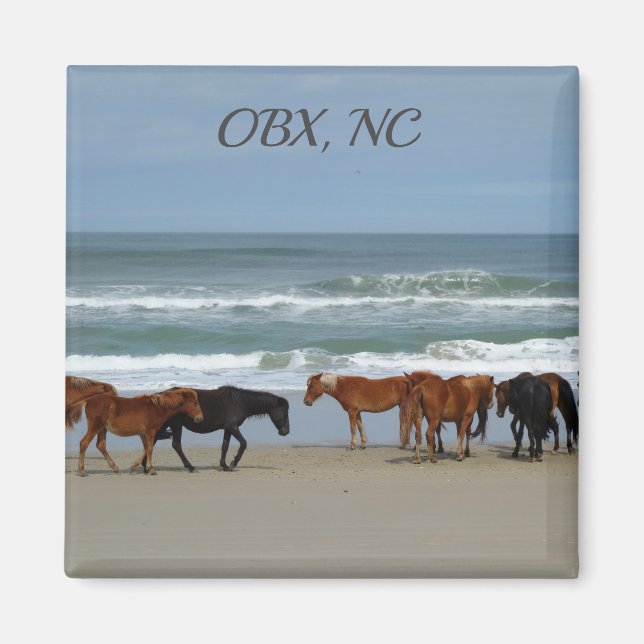Vild Horses OBX NC Magnet (Framsidan)