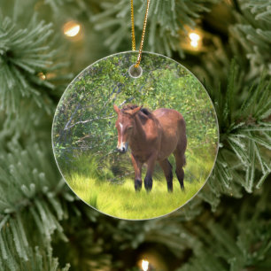 Vild Horses of Assateague Ceramic Ornament