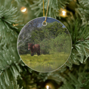 Vild Horses of Assateague Ceramic Ornament