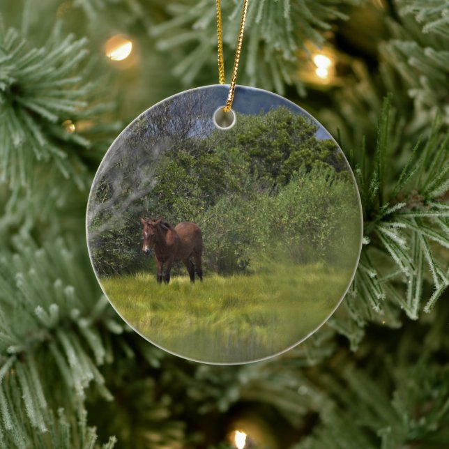 Vild Horses of Assateague Ceramic Ornament (Träd)