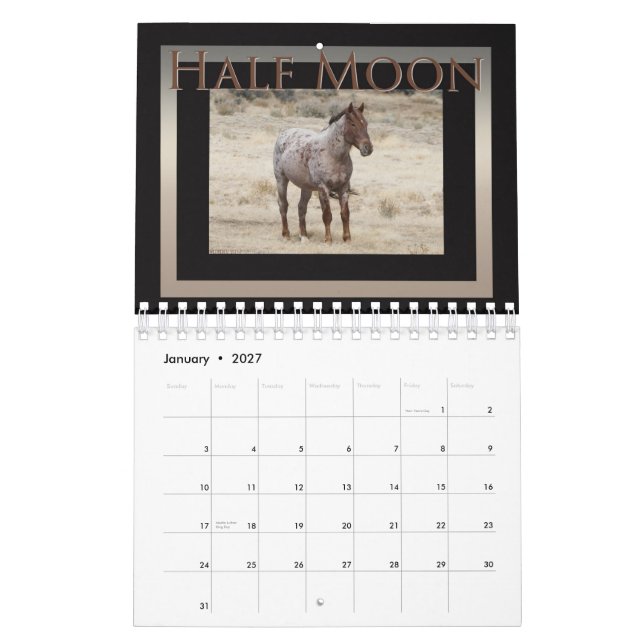 Vild Horses of Sand Tvättar Basin, Colorado Kalender (Jan 2027)