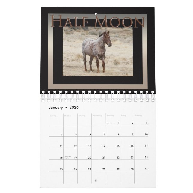 Vild Horses of Sand Tvättar Basin, Colorado Kalender (Jan 2026)