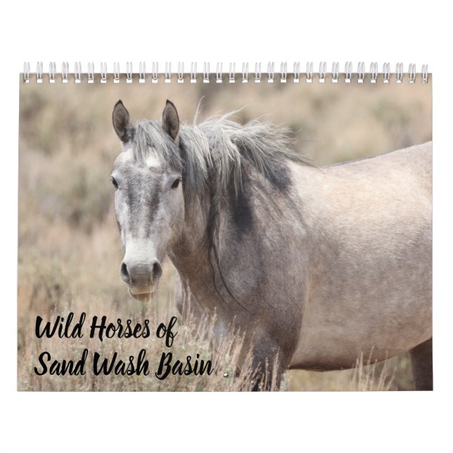Vild Horses of Sand Tvättar Basin Kalender (Omslag)