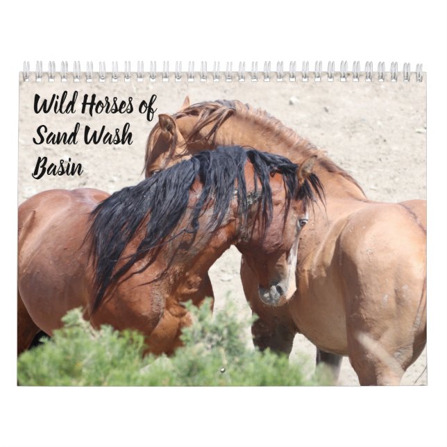 Vild Horses of Sand Tvättar Basin Kalender (Omslag)