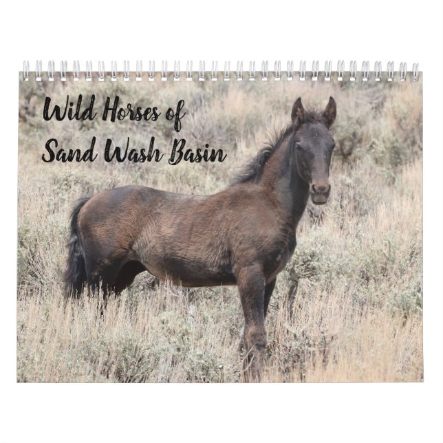 Vild Horses of Sand Tvättar Basin Kalender (Omslag)