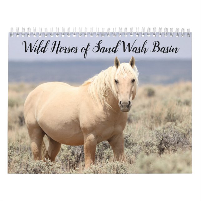 Vild Horses of Sand Tvättar Basin Kalender (Omslag)