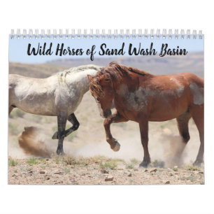 Vild Horses of Sand Tvättar Basin Kalender