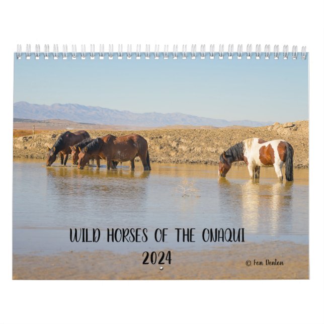 Vild Horses of the Onaqui - 2024 Calendar Kalender (Omslag)