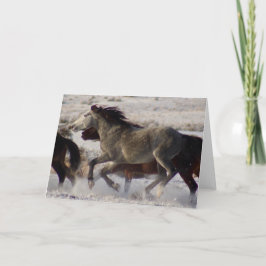 VILD HORSES OF UTAH ONAQUI DESERT CHRISTMAS Card Kort