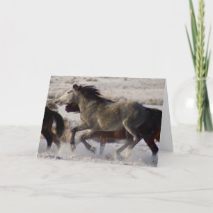 VILD HORSES OF UTAH ONAQUI DESERT CHRISTMAS Card Kort