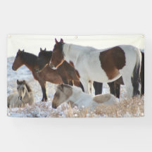VILD HORSES OF UTAH ONAQUI HERD BANNER