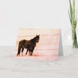 VILD HORSES OF UTAH ONAQUI HERD KORT