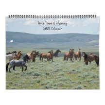 Vild Horses of Wyoming