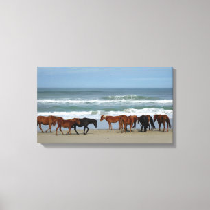 Vild Horses Outer Banker NC Canvas