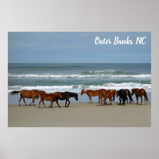 Vild Horses Outer Banker OBX Corolla NC Poster (Framsidan)