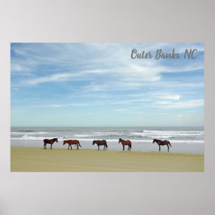 Vild Horses Outer Banker OBX Corolla NC Poster