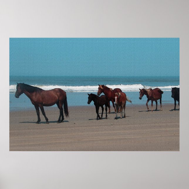 Vild Horses Poster (Framsidan)