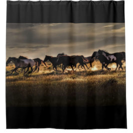 Vild Horses Running Free