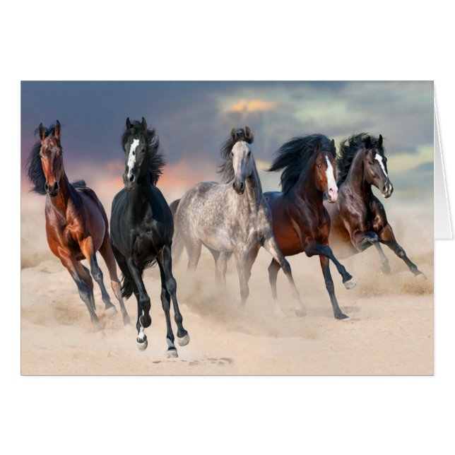 Vild Horses Running Free OBS Kort (Framsidan Horizontal)
