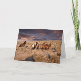 Vild Horses Running Kort