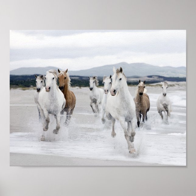 Vild Horses Runon on the Beach Poster (Framsidan)