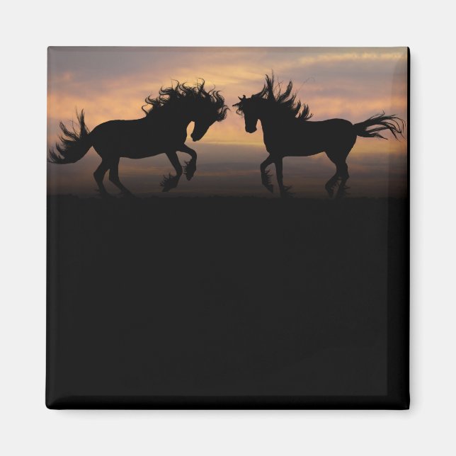 Vild Horses Silhouette Magnet (Framsidan)