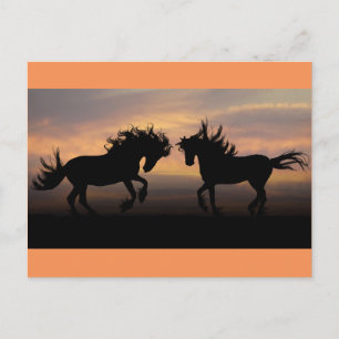 Vild Horses Silhouette Vykort