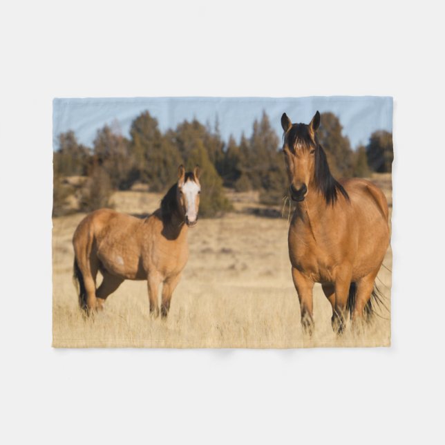 Vild Horses, Steens Mountain Fleecefilt (Framsidan (Horisontell))