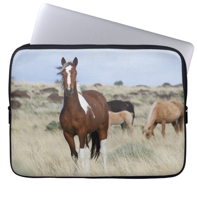 Vild Horses, Steens Mountain Laptop Fodral (Framsidan)