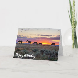 Vild Horses Sunset Birthday Kort