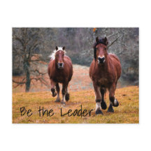 Vild Horses Tävla i Skogen
