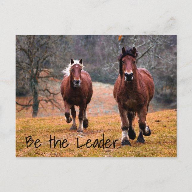 Vild Horses Tävla i Skogen Vykort (Framsida)
