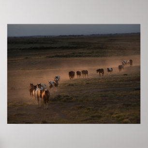 Vild Horses Walking Towards Desert Poster