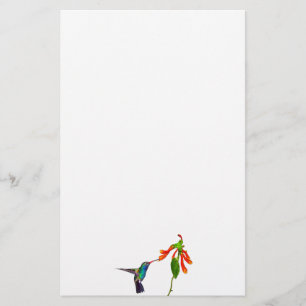 Vild Hummingbird Bird-älskare Art Series Brevpapper