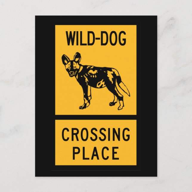 Vild Hund Crossing Ställe, Sign, Zimbabwe Vykort (Framsida)