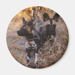 Vild Hundar Magnet
