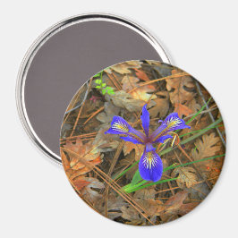 Vild Iris-blomma... Magnet