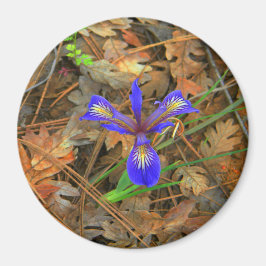 Vild Iris-blomma... Magnet